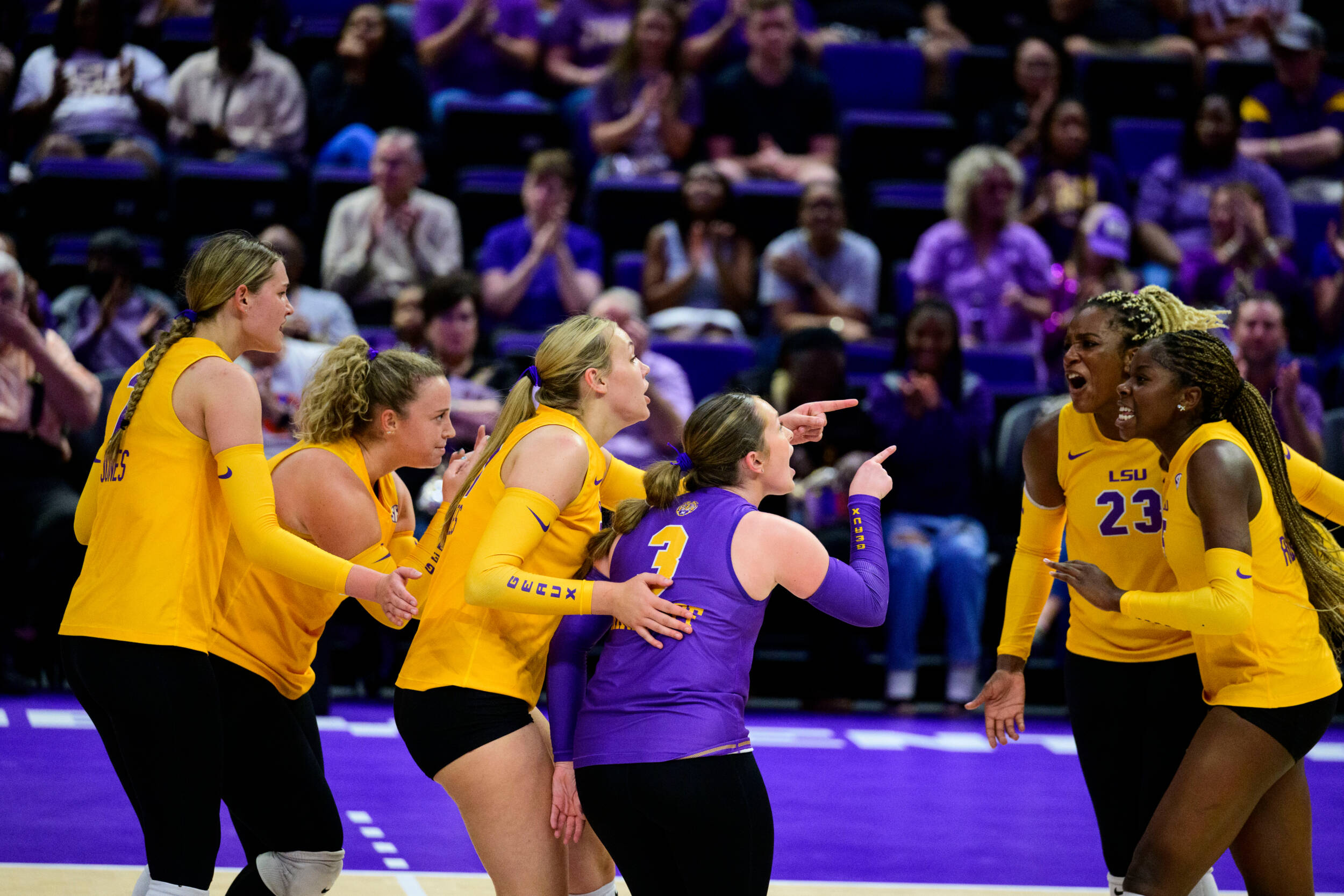 Rumur Rouille Gallery: Volleyball SEC Opening Weekend – LSU