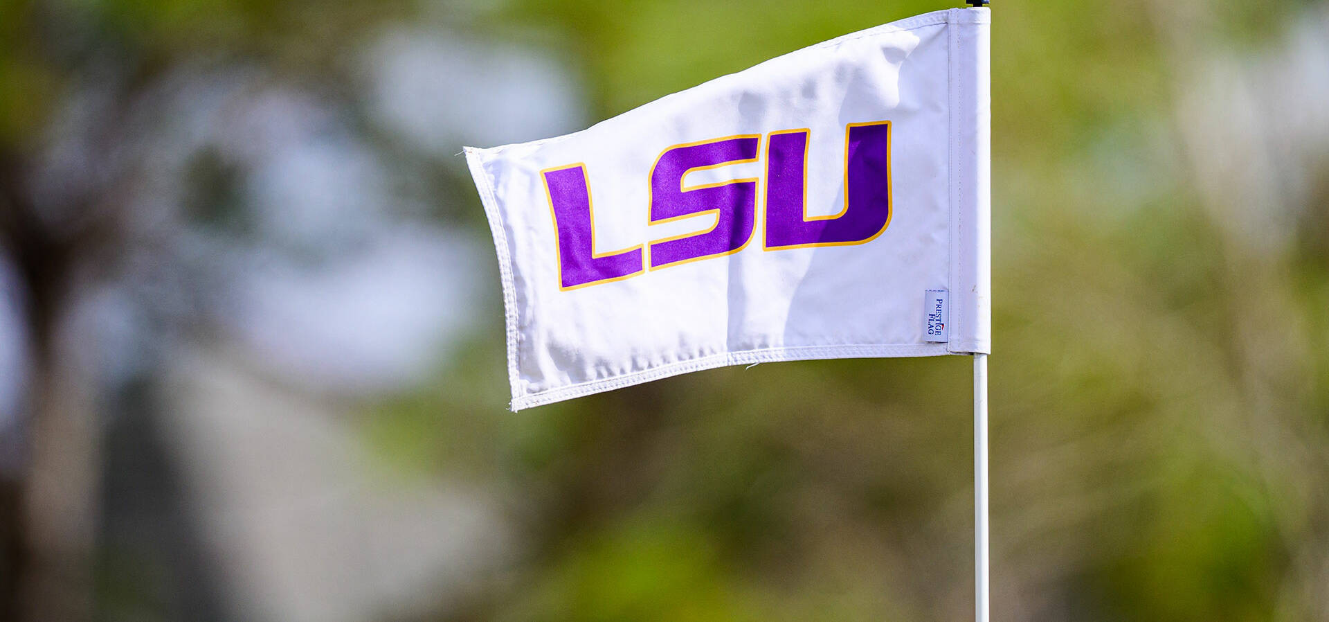 golf_flag_LSU_stock1 Men's Golf 2007-08